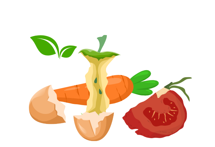 Food Waste